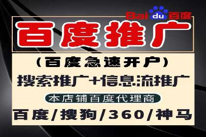 竞价广告的投放技巧与网络推广的实践